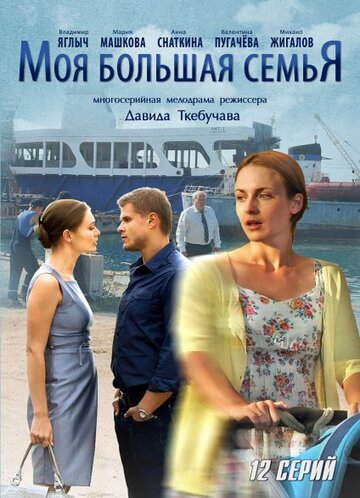 Моя большая семья (2012)